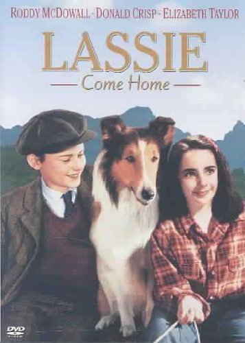 LASSIE: COME HOME [IMPORT] For Cheap