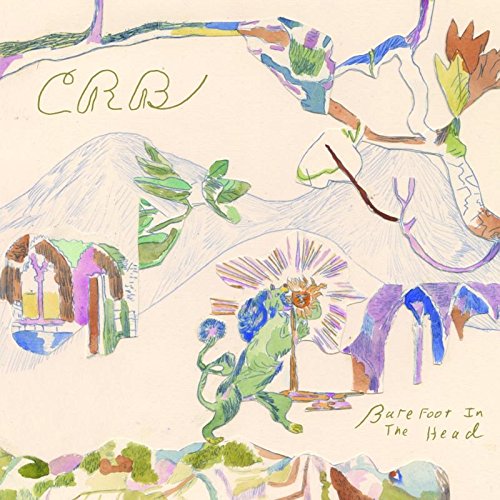 CHRIS ROBINSON BROTHERHOOD - BAREFOOT IN THE HEAD For Sale