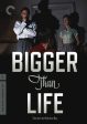 BIGGER THAN LIFE Online