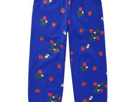 Strawberry Fields Sweatpant - Cobalt Supply